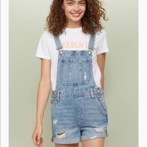 Overall Shorts